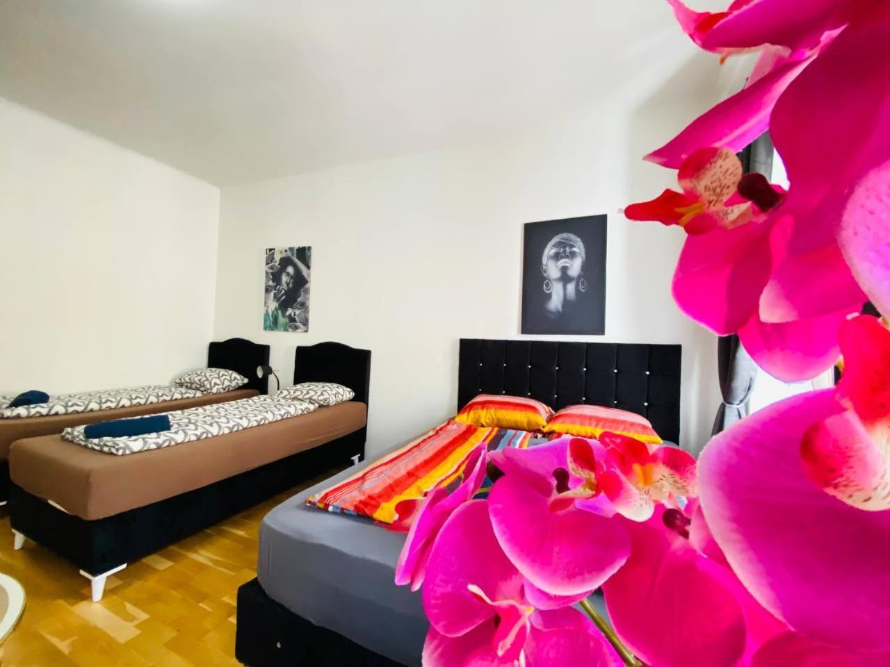 Deluxe Studio In Josefstaedter Strasse Area Viena Exterior foto