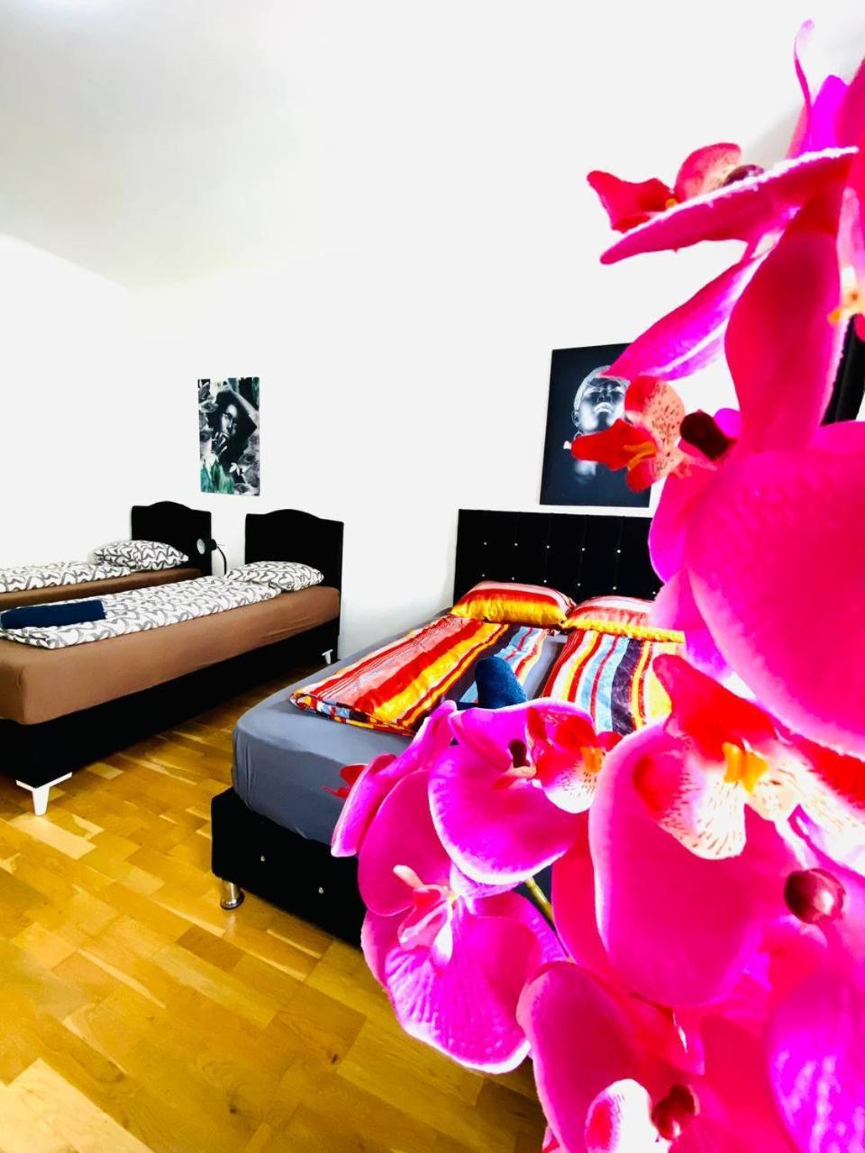 Deluxe Studio In Josefstaedter Strasse Area Viena Exterior foto